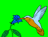 Disegno Colibrì con un fiore  pitturato su samuele