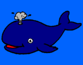 Disegno Balena che spruzza  pitturato su giulia