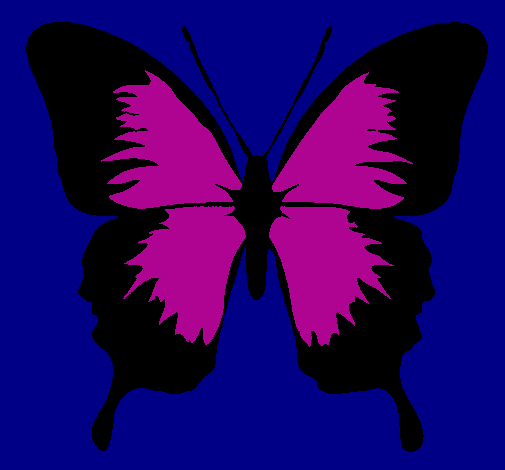 Farfalla con le ali nere