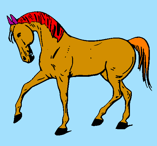 Cavallo con la zampa alzata 