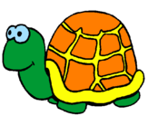 Disegno Tartaruga  pitturato su tartaruga