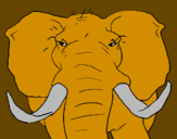 Disegno Elefante africano pitturato su ruggero