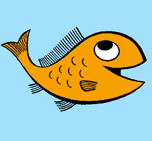 Pesce 