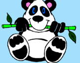 Disegno Orso panda  pitturato su po