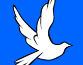 Disegno Colomba della pace in volo pitturato su daisi 