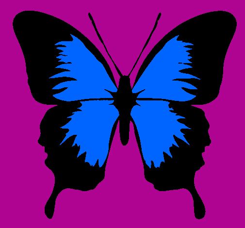 Farfalla con le ali nere