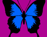 Disegno Farfalla con le ali nere pitturato su sara grazioli