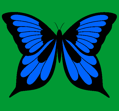 Farfalla 8