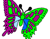 Disegno Farfalla  pitturato su clara