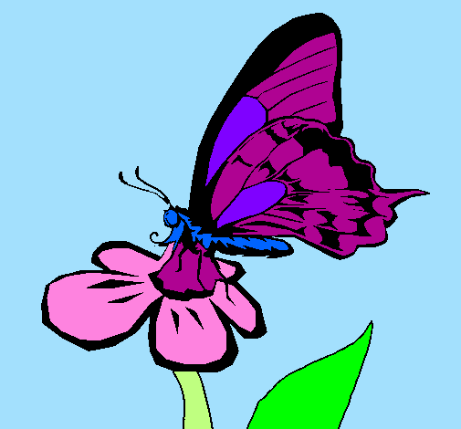 Farfalla su un fiore