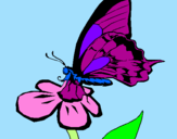 Disegno Farfalla su un fiore pitturato su jadi