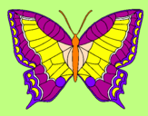 Disegno Farfalla  pitturato su gioele