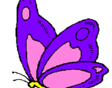 Disegno Farfalla  pitturato su SILVIA