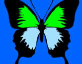 Disegno Farfalla con le ali nere pitturato su jadi