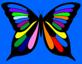 Disegno Farfalla 8 pitturato su noemi