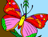 Disegno Farfalla  pitturato su gas bubu y oghi  sofiA