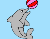 Disegno Delfino con una palla  pitturato su teresa