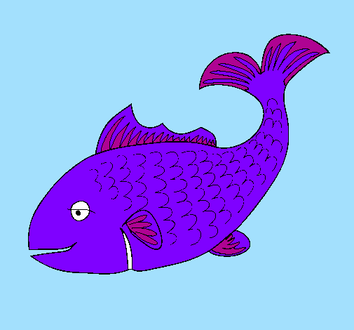 Pesce 3