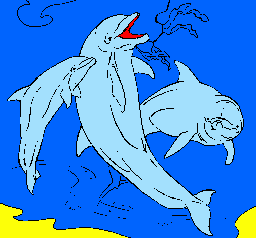 Delfini che giocano 