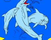 Disegno Delfini che giocano  pitturato su alessandro
