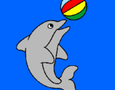 Disegno Delfino con una palla  pitturato su greta