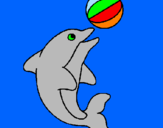 Disegno Delfino con una palla  pitturato su daniele panciroli