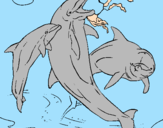 Disegno Delfini che giocano  pitturato su teresa