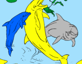 Disegno Delfini che giocano  pitturato su giulio2