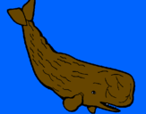 Disegno Balena enorme  pitturato su giangy