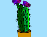 Disegno Cactus fioriti pitturato su giangy