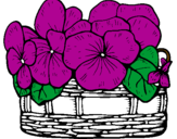 Disegno Paniere di fiori 12 pitturato su viole