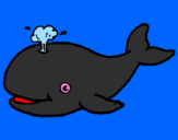 Disegno Balena che spruzza  pitturato su varo
