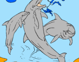 Disegno Delfini che giocano  pitturato su micky
