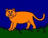 Disegno Panthera  pitturato su Leonessa