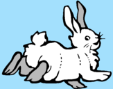 Disegno Coniglio contento  pitturato su ilaria