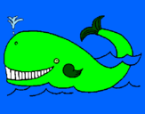 Disegno Balena  pitturato su dinisauro 1