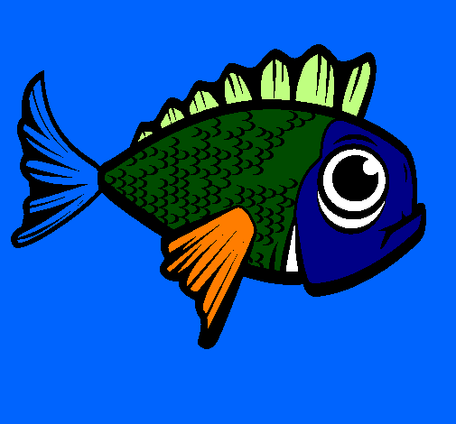 Pesce 2