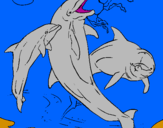 Disegno Delfini che giocano  pitturato su matteo