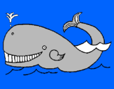 Disegno Balena  pitturato su Giuseppe