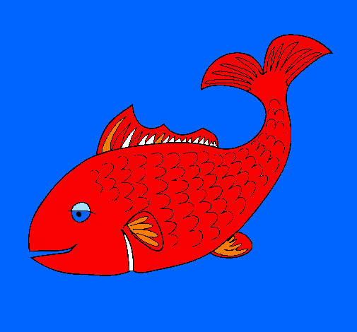 Pesce 3