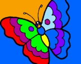 Disegno Farfalla  pitturato su RUTH