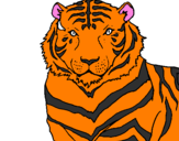 Disegno Tigre pitturato su beatrice