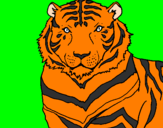 Disegno Tigre pitturato su Erika
