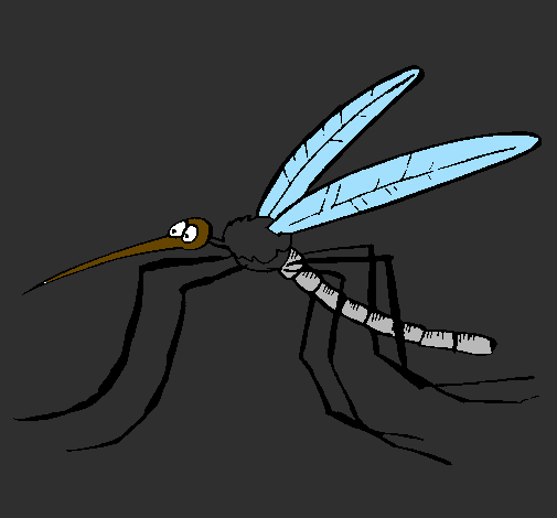 Zanzara