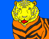 Disegno Tigre pitturato su martino