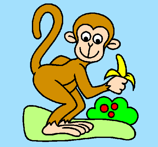 Scimmietta 