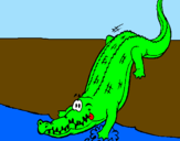 Disegno Alligatore che entra nell'acqua  pitturato su riccardomonti