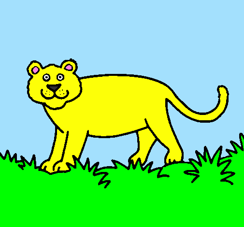 Panthera 