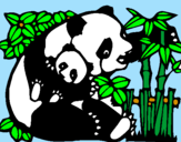 Disegno Mamma panda  pitturato su moira