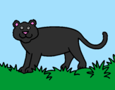 Disegno Panthera  pitturato su mirlam